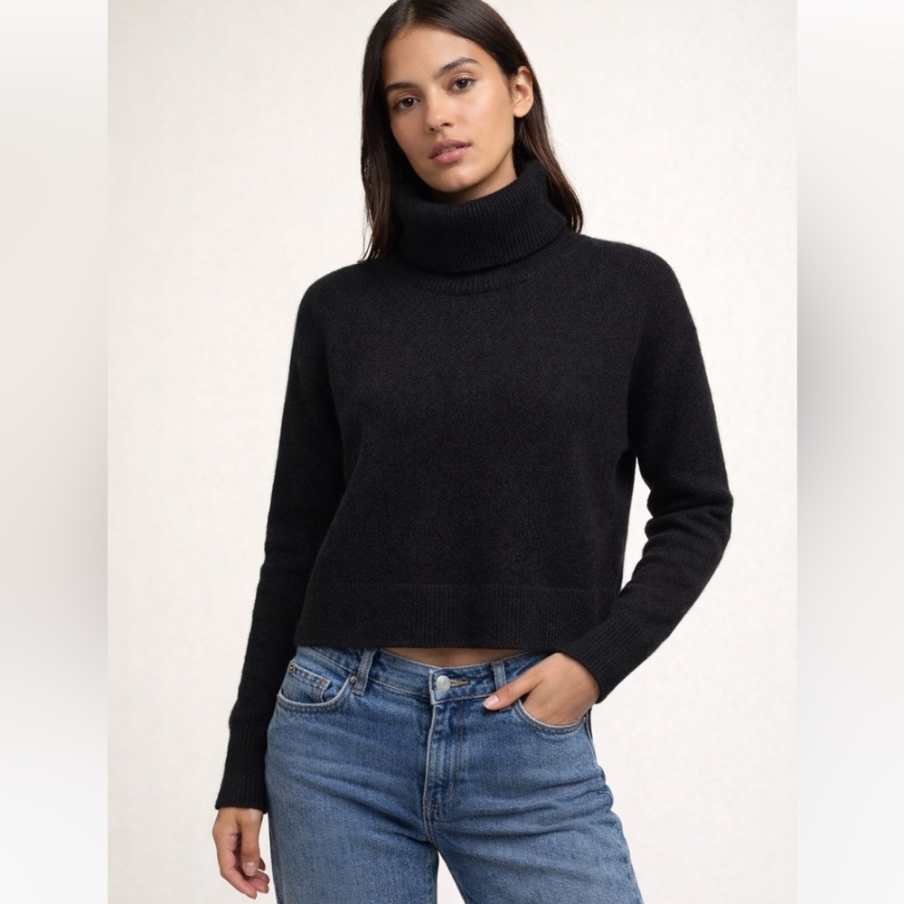 Aritzia Babaton boiled wool black Turtleneck knit sweater  S winter casual $130